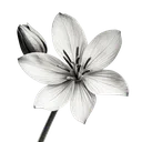 whiteflower