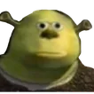 shrek_bruh