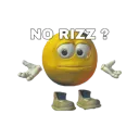 norizz