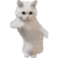 cat_dance