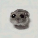 Suad custom emote from The EndermanXD45 Commonwelth