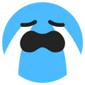 crm_ttcry