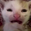ew