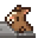 LaptopRabbit