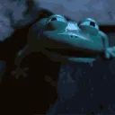 lizarddead