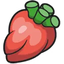 persim_berry