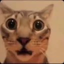 scared