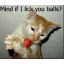 lickballs_