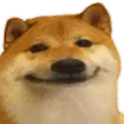 doge2 doge2
