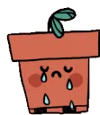 crypotplant