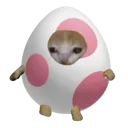 sarhaifyoustealthisitsok