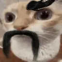 huhcat