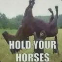 holdyourhorses Discord emoji