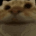 :catsmile: