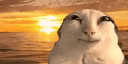 :catsmile: