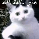 emoji_11 Discord Emoji - 𝐑𝐂〢𝐑𝐚𝐧𝐠𝐚𝐫𝐨𝐤 𝐜𝐫𝐚𝐟𝐭🗺