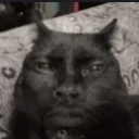 emoji_14 Discord Emoji - 𝐑𝐂〢𝐑𝐚𝐧𝐠𝐚𝐫𝐨𝐤 𝐜𝐫𝐚𝐟𝐭🗺