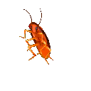 emoji_113