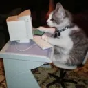 gatopc