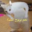 emoji_59 Discord sticker | ! SC³ | 𝘚𝘜𝘚𝘗𝘌𝘕𝘚𝘌