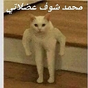 emoji_60 Discord Emoji from ! SC³ | 𝘚𝘜𝘚𝘗𝘌𝘕𝘚𝘌