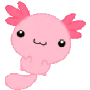 2737dealwithitaxolotl