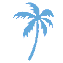 6936palmtree