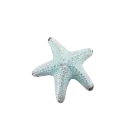 0_bluestarfish