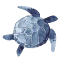 0_seaturtle