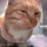 sideeye