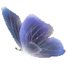 tprlilacbutterfly