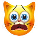 ugly_cat ugly_cat