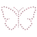 10_butterfly