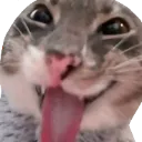 CatLeLuoi