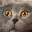 Kaef
