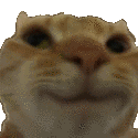 16776winking