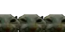 xddconga xddconga