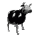 vaca