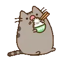 PusheenRice