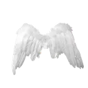 aa_wings4