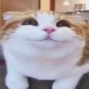 gleeful