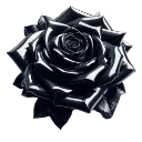 702149black3dshinnyrose