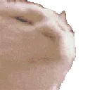 trigeredkot