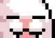 bunni