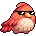 Cool_Bird