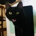 lucifermlem