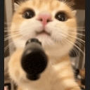 emoji_28 Discord sticker | #~ 𝐄𝐦𝐩𝐢𝐫𝐞 𝐖𝐞𝐬𝐭 𝟏𝟖𝟕