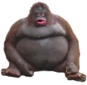 monke