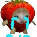 MGO_CryStrawberryCat Discord Emoji from #~ 𝐄𝐦𝐩𝐢𝐫𝐞 𝐖𝐞𝐬𝐭 𝟏𝟖𝟕