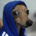 879276396256567317 Discord Emoji | #~ 𝐄𝐦𝐩𝐢𝐫𝐞 𝐖𝐞𝐬𝐭 𝟏𝟖𝟕